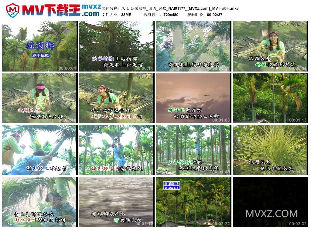 凤飞飞-采槟榔_国语_民歌_NAI01177